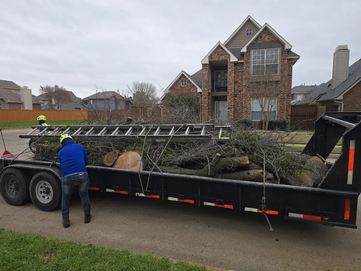 Expert Lot Clearing with proper safety equipment in Sweeny